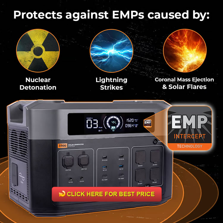 Grid Doctor 3300 + EMP Intercept Review: The EMP Hardened Solar Generator System That Delivers When It Counts