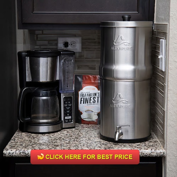 Alexapure Pro Water Filter Review: Expert Analysis & Performance Test